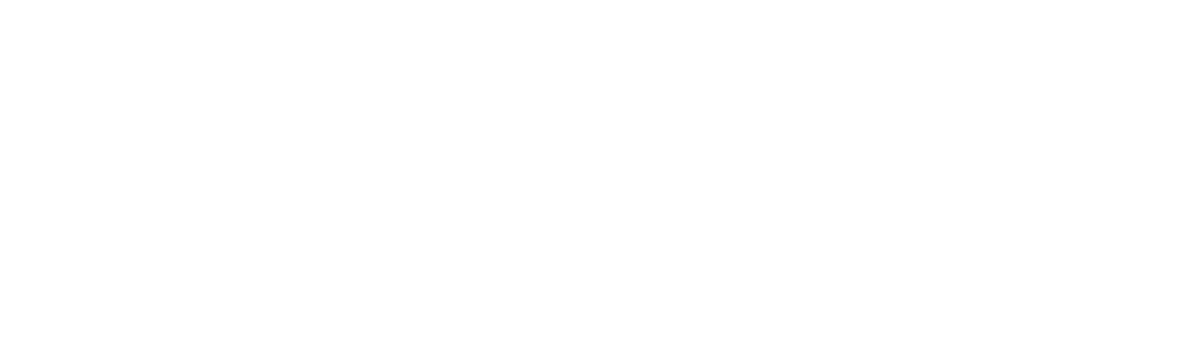 Horizon AI Agency